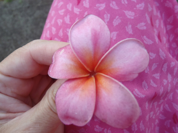 knee_plumeria